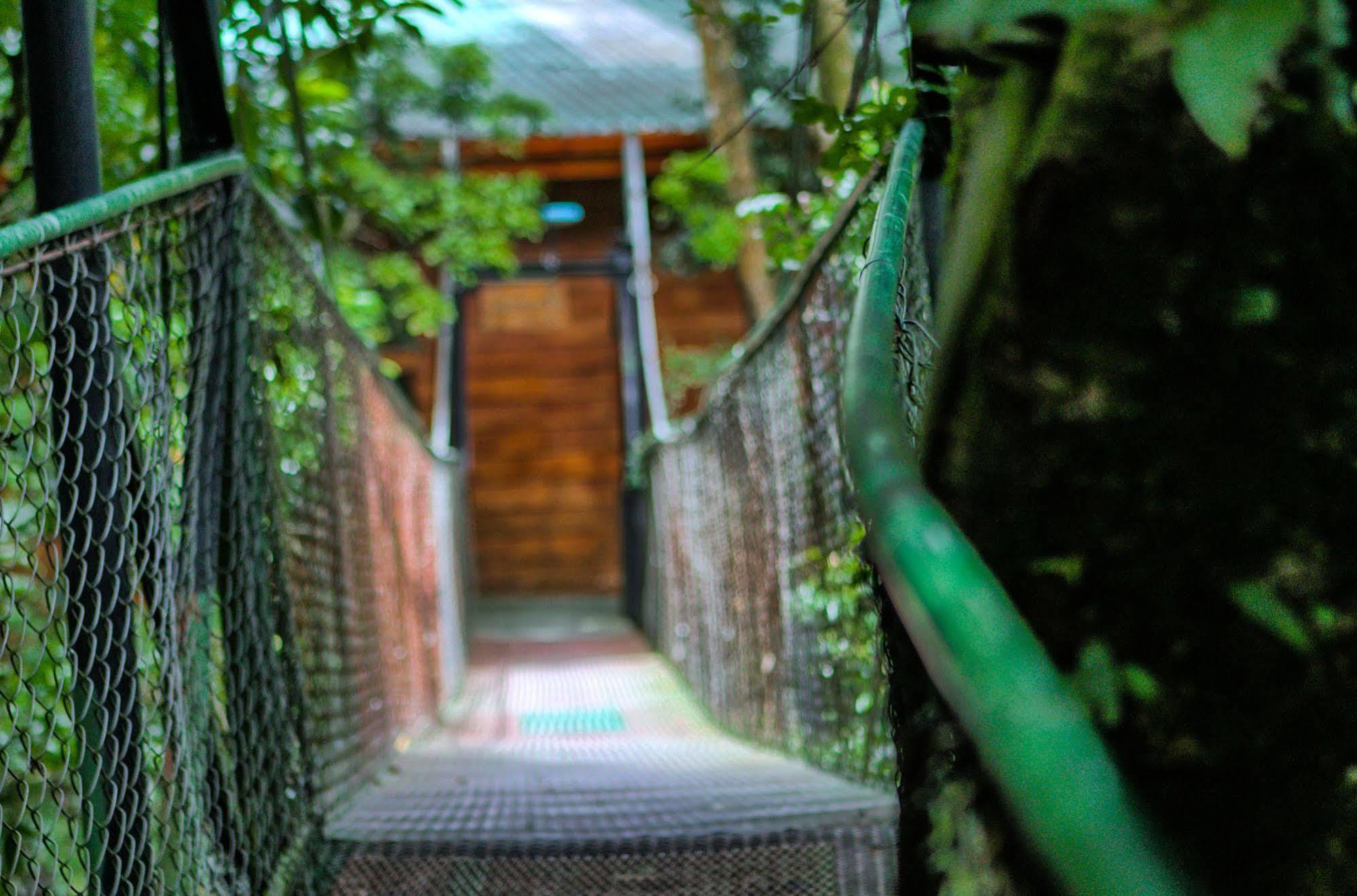 Jaguarundi Lodge - Monteverde Extérieur photo